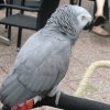 2011-09-04 Wantijpark